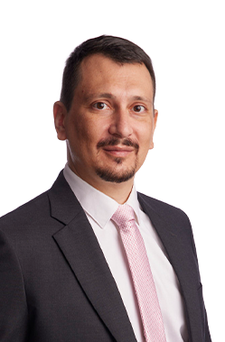 BORIS HAJDUK